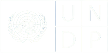 United Nations Development Programme